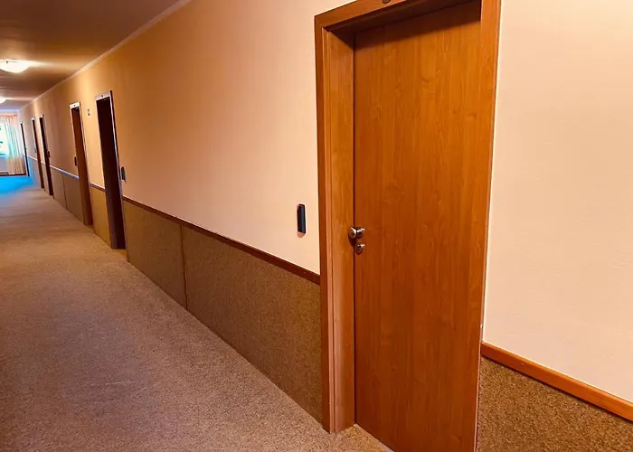 罗索维斯基旅馆 2*